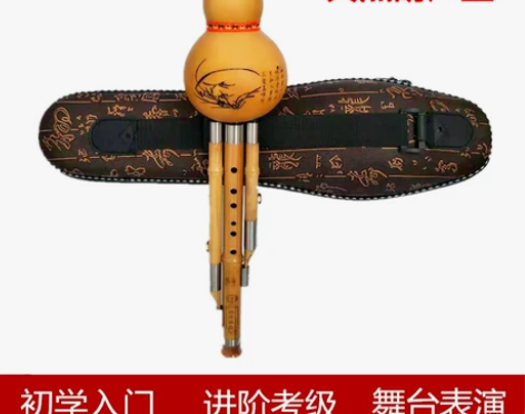 葫芦丝 葫芦丝初学天然乐器降B调c调学生成...