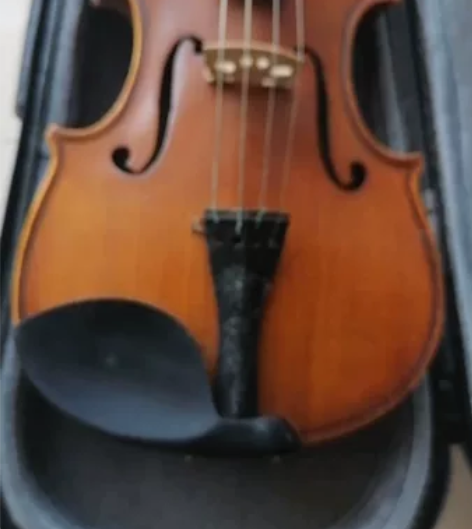 儿童小提琴，啥牌不清楚，同城自提，不包邮，...