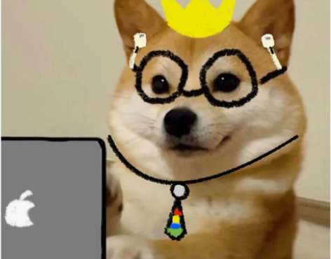 期末考试，家教大学研究生，接各种考前在线辅...