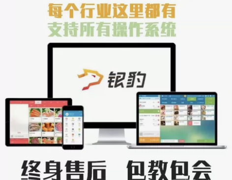 收银软件系统银豹终身 专业版（终身） 可以...