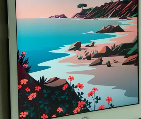 iPad2020款平常自己在家用来上上网课...