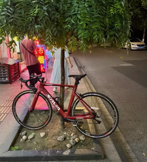 SAVA  18速禧玛诺变速  51车架 ...