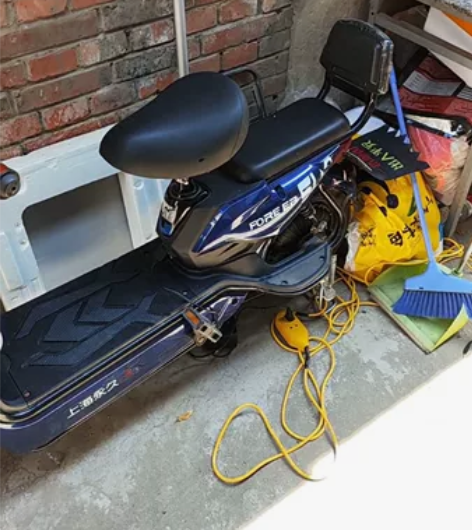 FLYING PIGEON/飞鸽 感兴趣的...