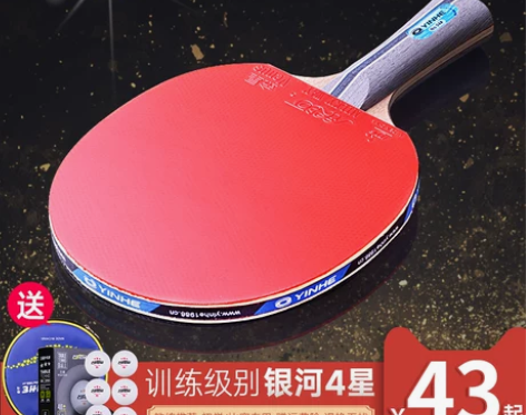 银河乒乓球拍四星正品专业级直横拍儿童单拍小...