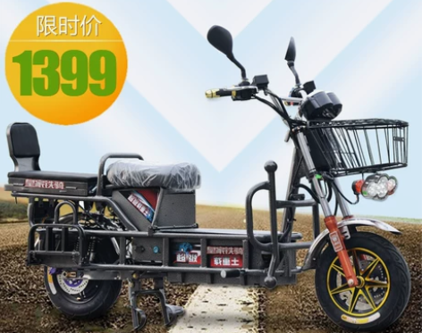 载重王电动车路霸载货载重王电瓶车快递大力神...