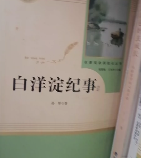 白洋淀 纪事##amp；amp；湘行散记#...