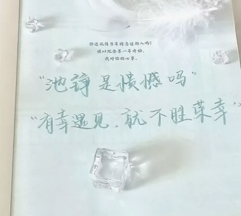 他笑时风华正茂,手写扉页抱枕 感兴趣的话点...