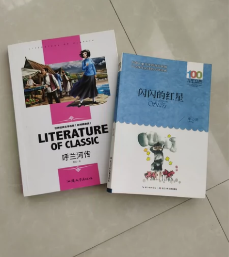 闪闪的红星+呼兰河传 感兴趣的话点“我想要...