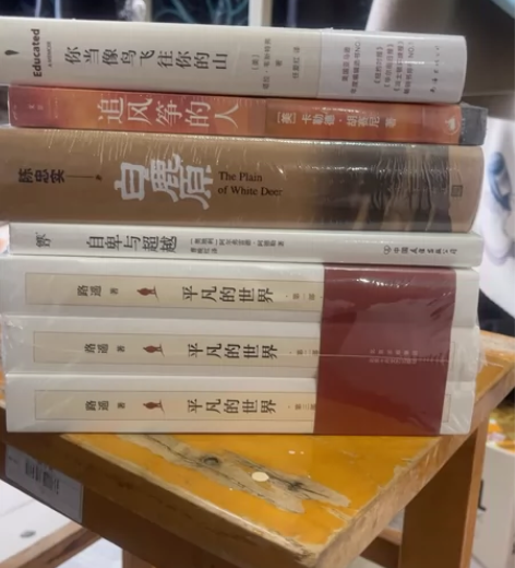 追风筝的人 白鹿原 自卑与超越 平凡的世界...