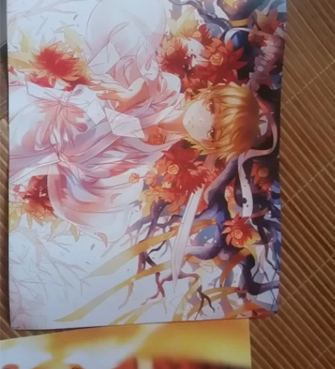 动漫海报 入坑买了一大堆海报，海报几乎全新...