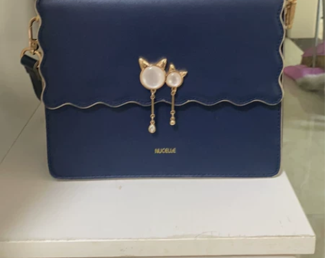 NUCELLE纽芝兰包包 全新，对象送的买...