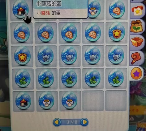 洛克王国宠物蛋 小蘑菇，翼龙，火爆猴，白金...