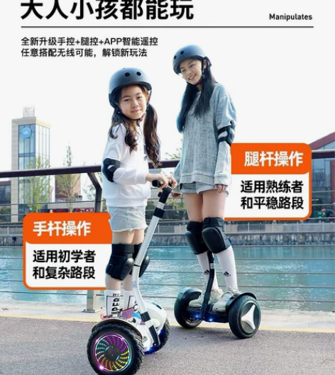 几乎全新 领奥官方旗舰店 2021新款电动...