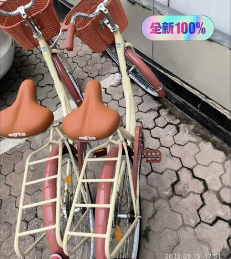 【厂家清仓】飞鸽官方旗舰店自行车成年人女式...