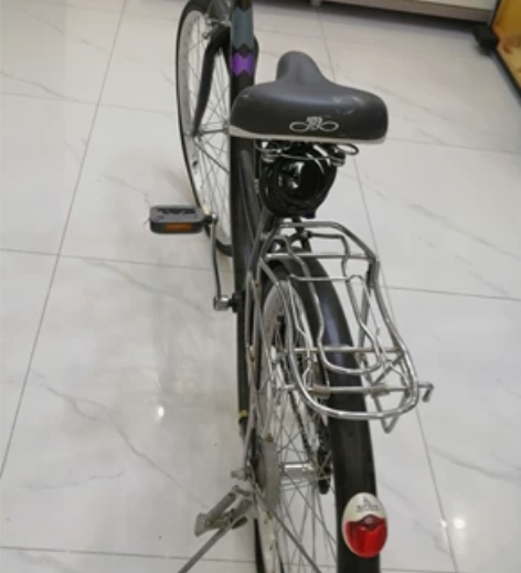 永久牌山地自行车男女轻便成人上班普通代步大...