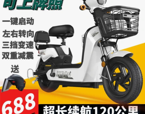 新国标雅迪新日爱玛同款电动车小型两轮双人电...