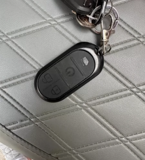 出闲置 绿源电动车 公里数缓慢增加 可小刀...