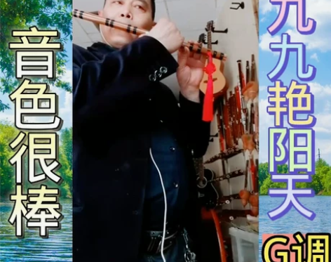 专业演奏级双插口横笛，音色很棒哦，调式齐全...