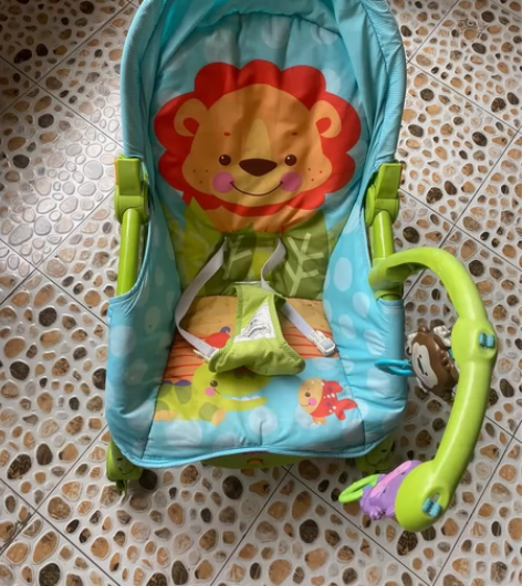 费雪躺椅,孩子小时候很喜欢,也很好清洗,需...