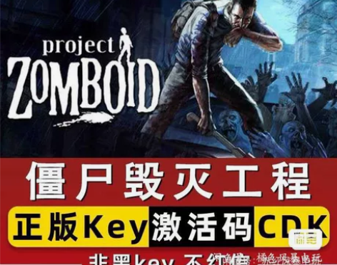 正版游戏激活 直接激活入库 支持在线更新,...