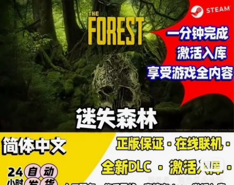 迷失森林。游戏激活码 游戏本体加dlc 直...
