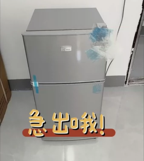【特价98包邮哦】运损小冰箱小型家用省电双...