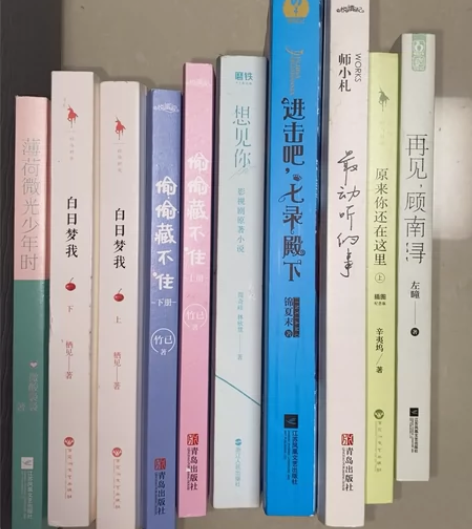 青春文学 言情小说 白日梦我上下 偷偷藏不...