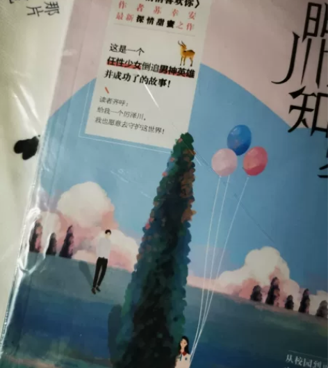 青春文学   晋江  小说出售 那片蔚蓝色...