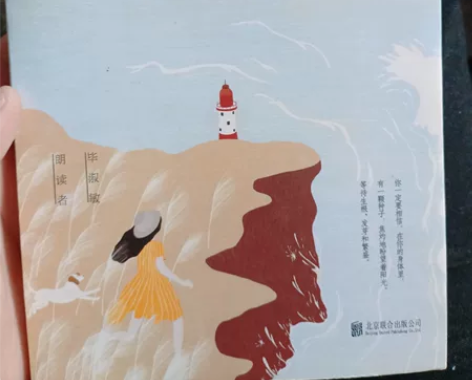 毕淑敏作品《生命因梦想而沸腾》 仅看过一次 95新低价出售轻...